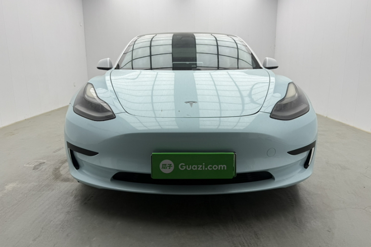 Tesla Model 3 2021 #3 Tesla Model 3 2021 car image #3