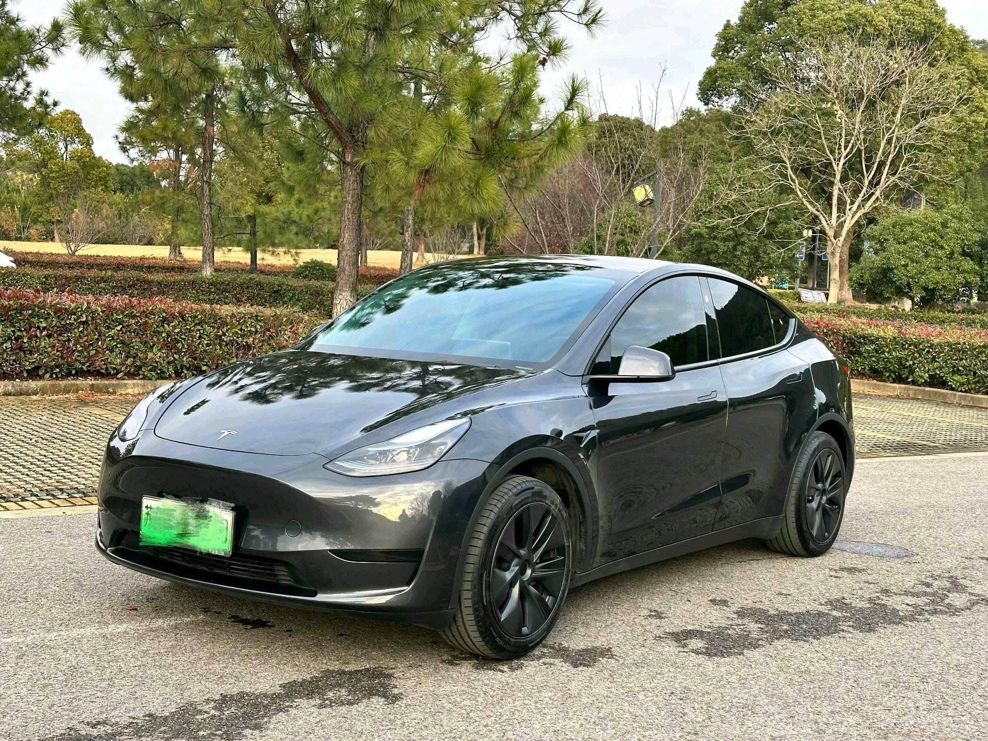 Tesla Model Y 2024 Tesla Model Y 2024 car image