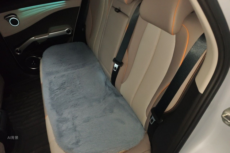 BYD Yuan Plus 2024 car image #19