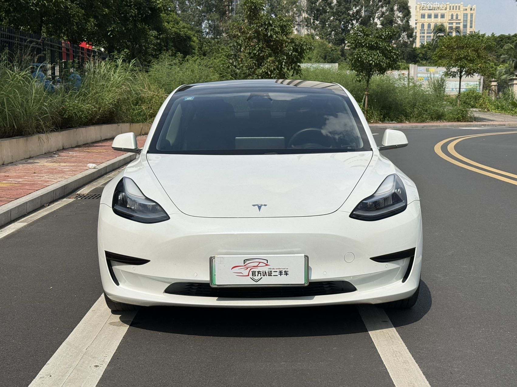 Tesla Model 3 2020 #2 Tesla Model 3 2020 car image #2