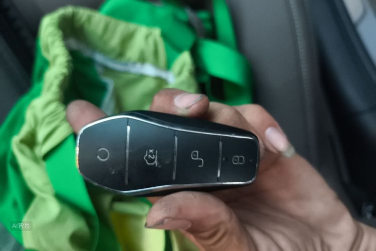 BYD Han 2024 car image #10