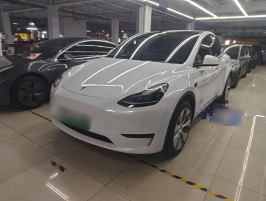 Tesla Model Y 2022 Tesla Model Y 2022 car image