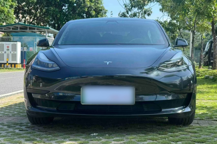 Tesla Model 3 2020 #3 Tesla Model 3 2020 car image #3