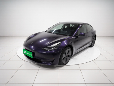 Tesla Model 3 2021 car image 