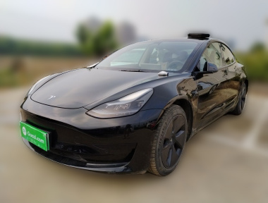 Tesla Model 3 2022 Tesla Model 3 2022 car image