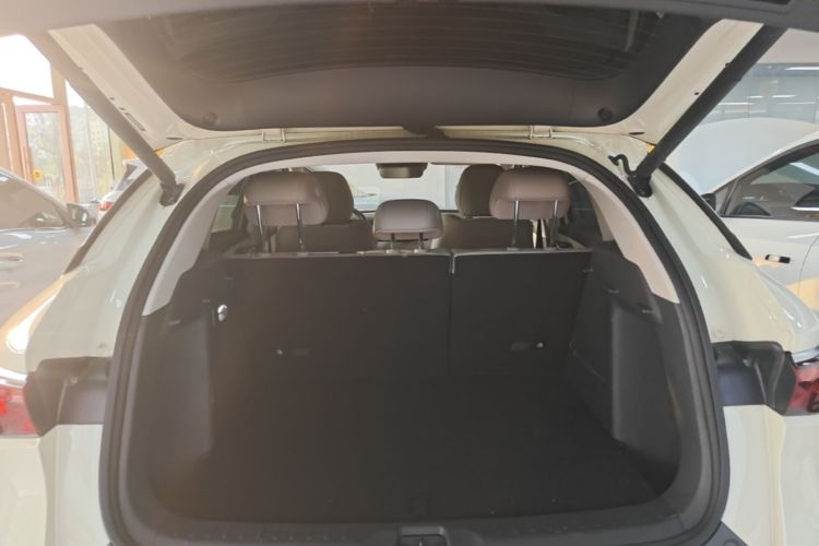 BYD Yuan Plus 2025 car image #19