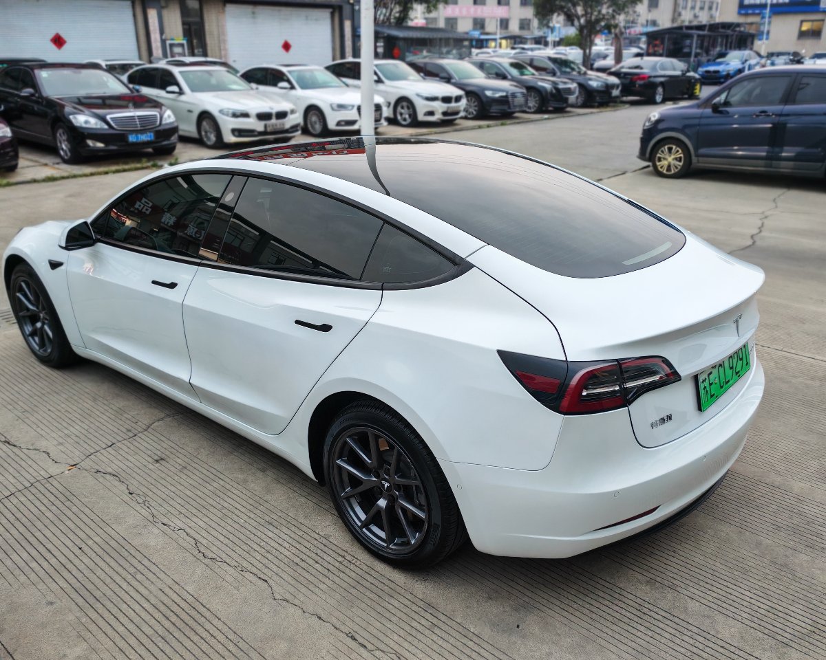 Tesla Model 3 2021 #8 Tesla Model 3 2021 car image #8