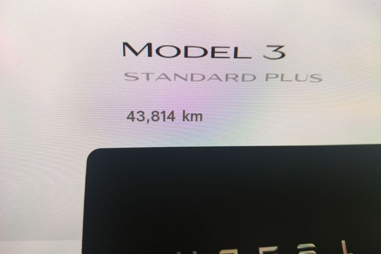 Tesla Model 3 2020 car image #14