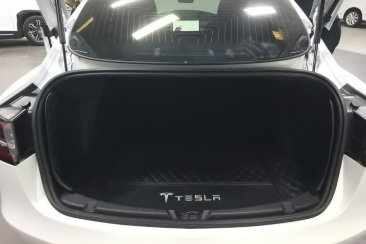Tesla Model 3 2020 car image #19