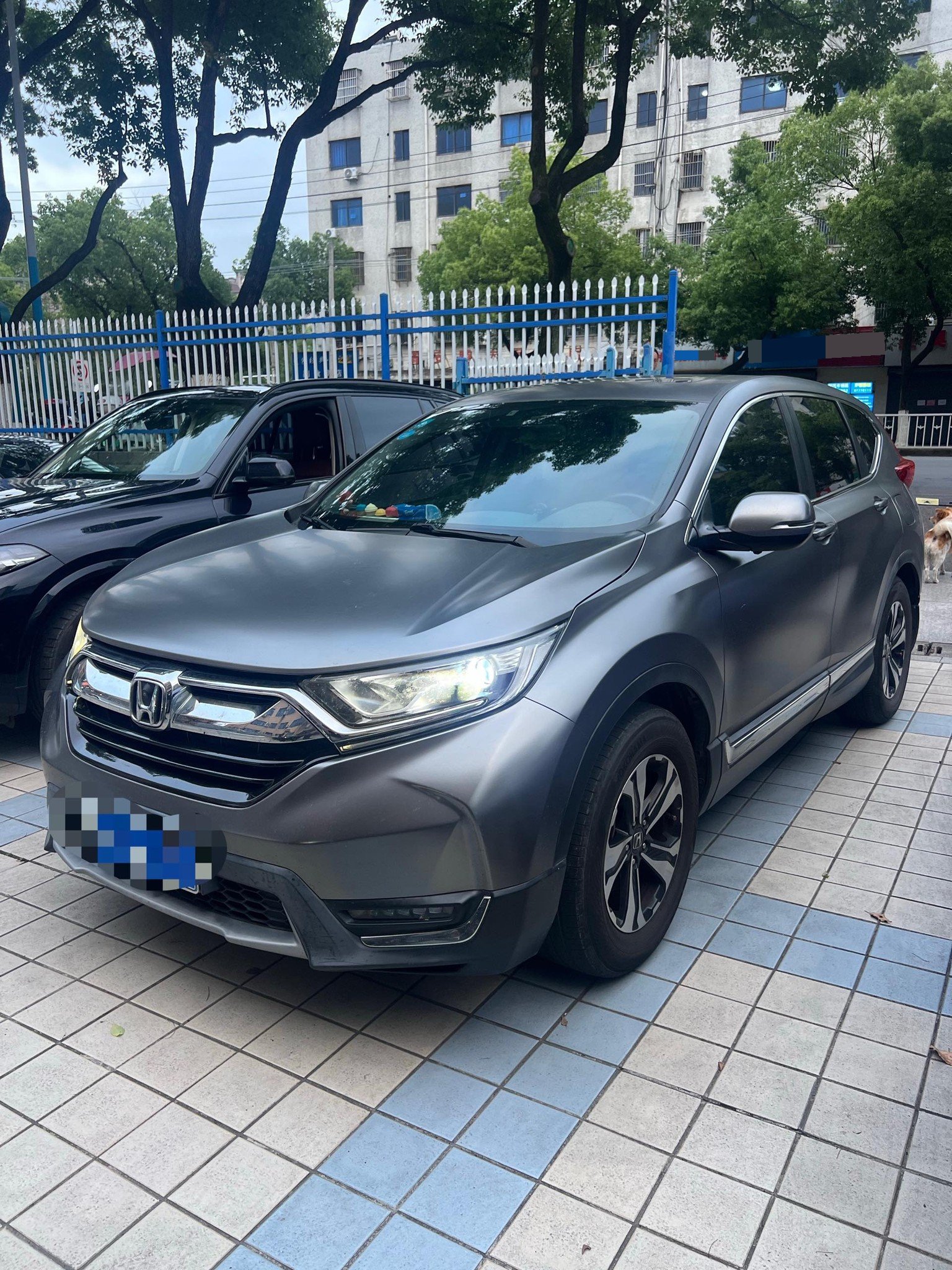 2020 2020 car image