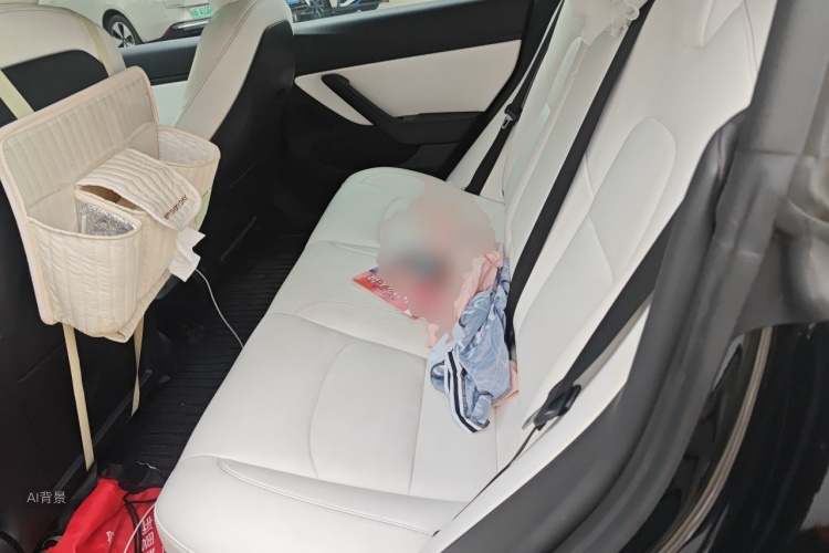Tesla Model 3 2020 car image #19