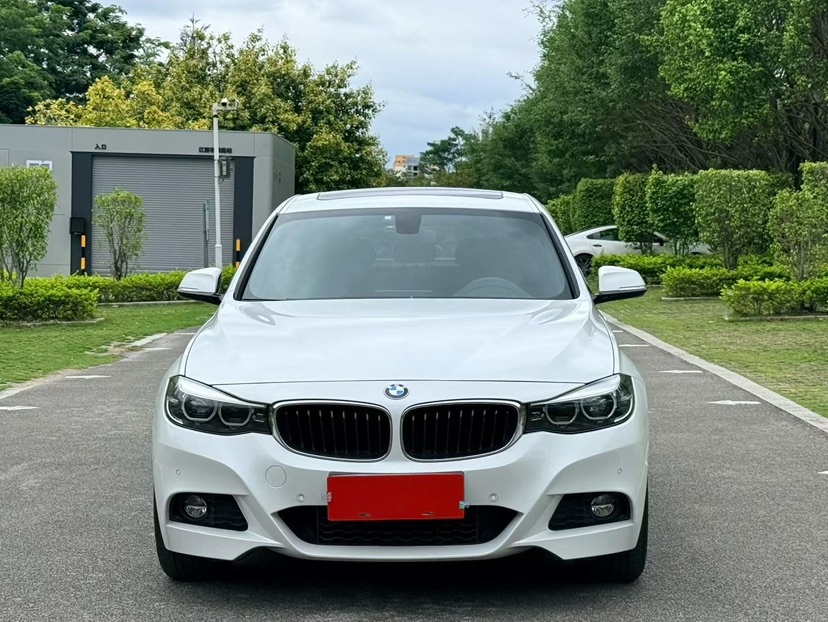 BMW 3 Series GT 2019 изображение автомобиля #2