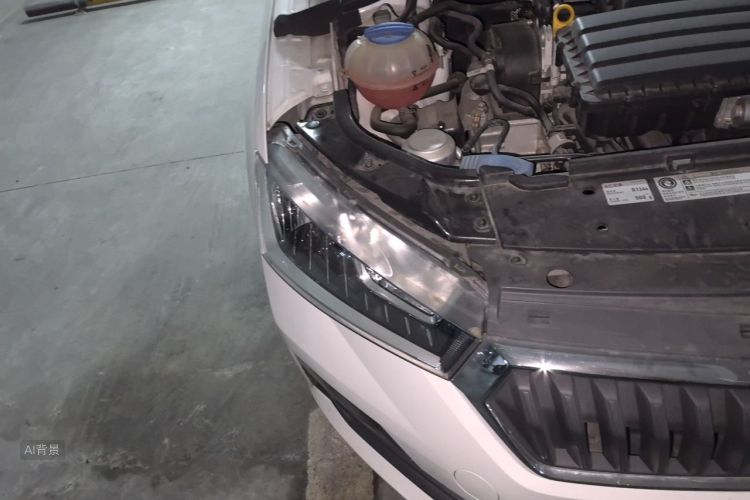 Skoda Rapid 2020 car image #8