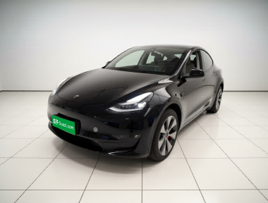 Tesla Model Y 2023 Tesla Model Y 2023 car image
