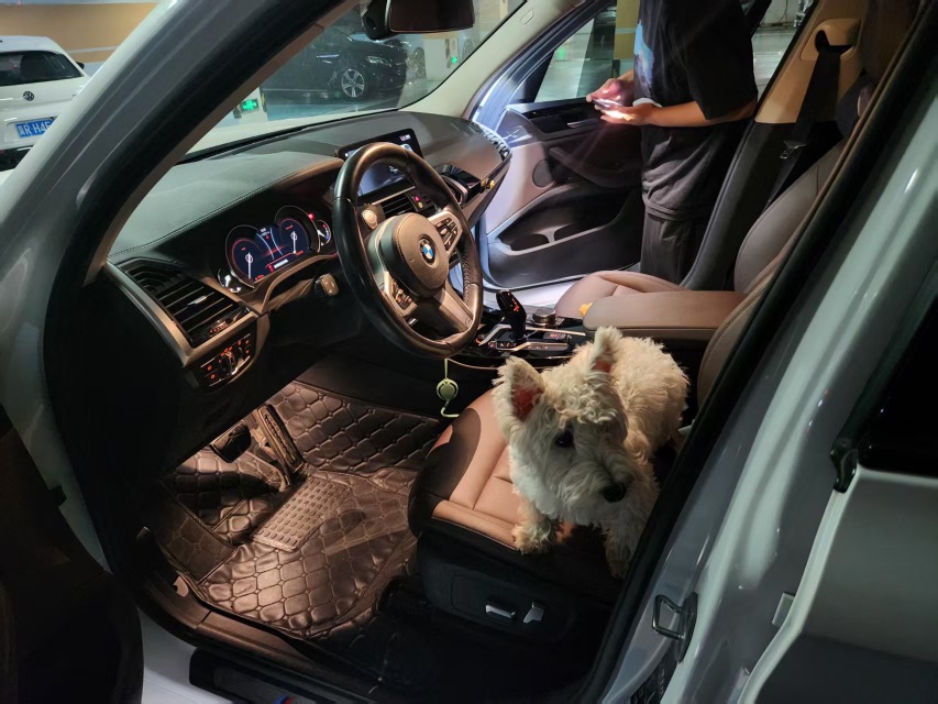 BMW X3 2018 car image #5