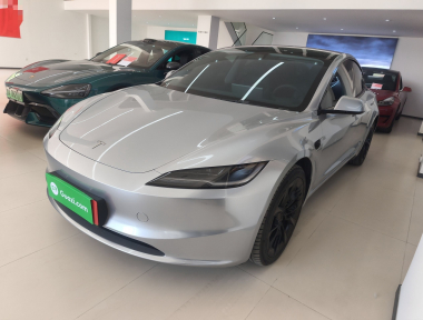 Tesla Model 3 2025 Tesla Model 3 2025 car image