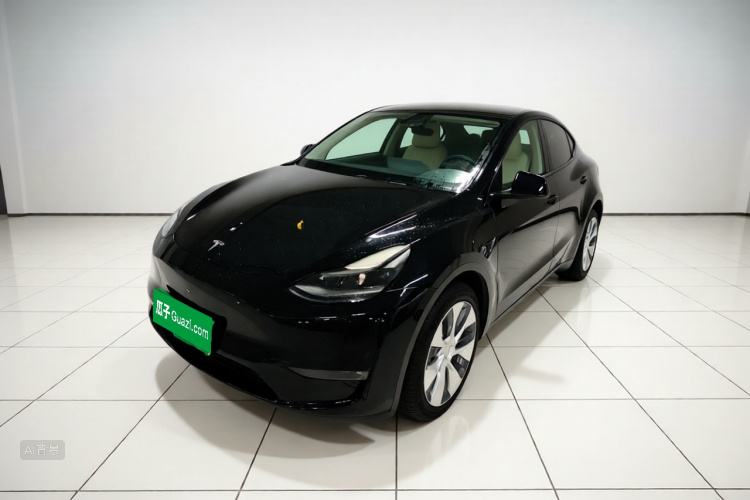 Tesla Model Y 2021 car image #2