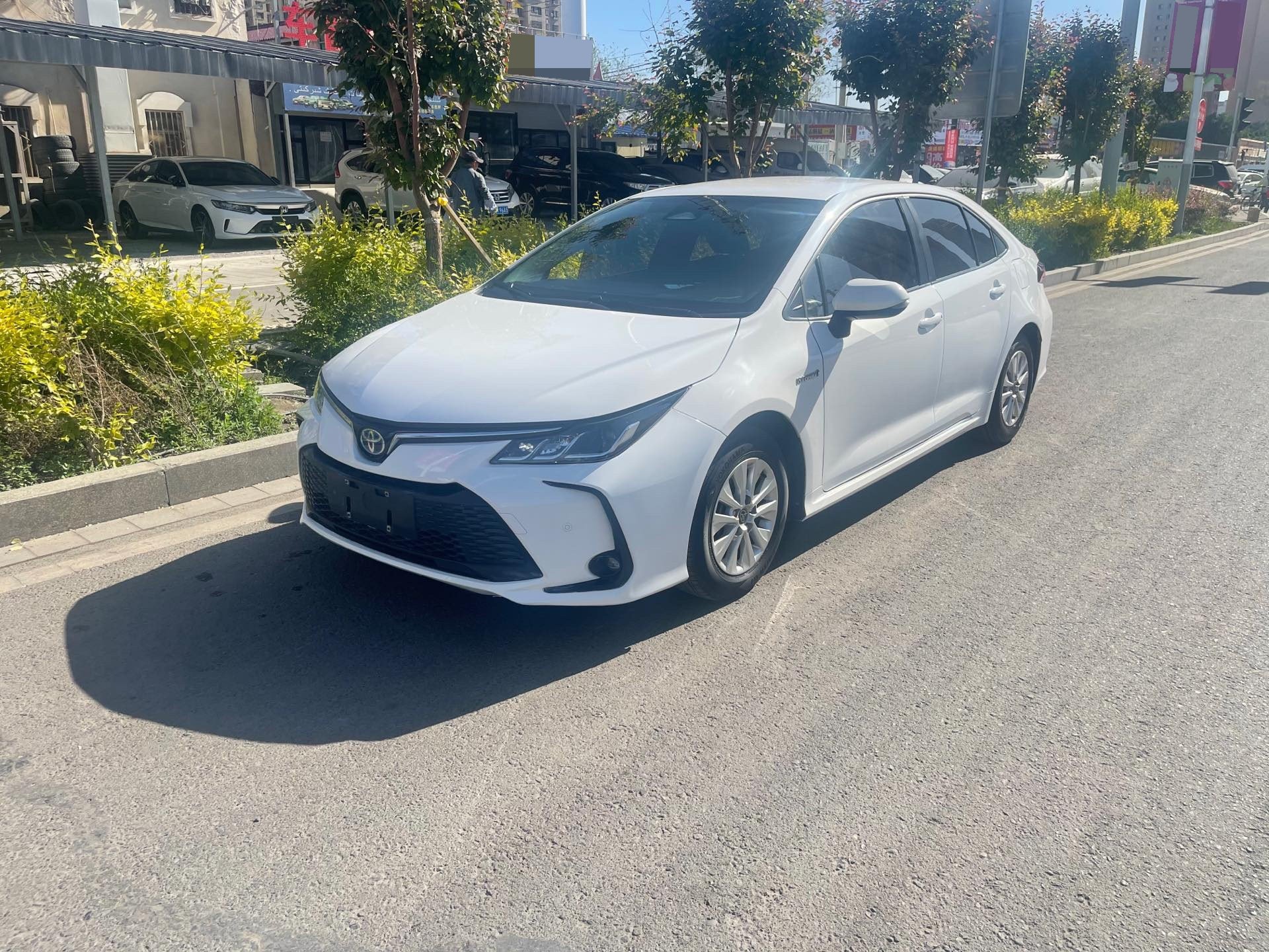 Toyota Corolla 2023 Toyota Corolla 2023 car image