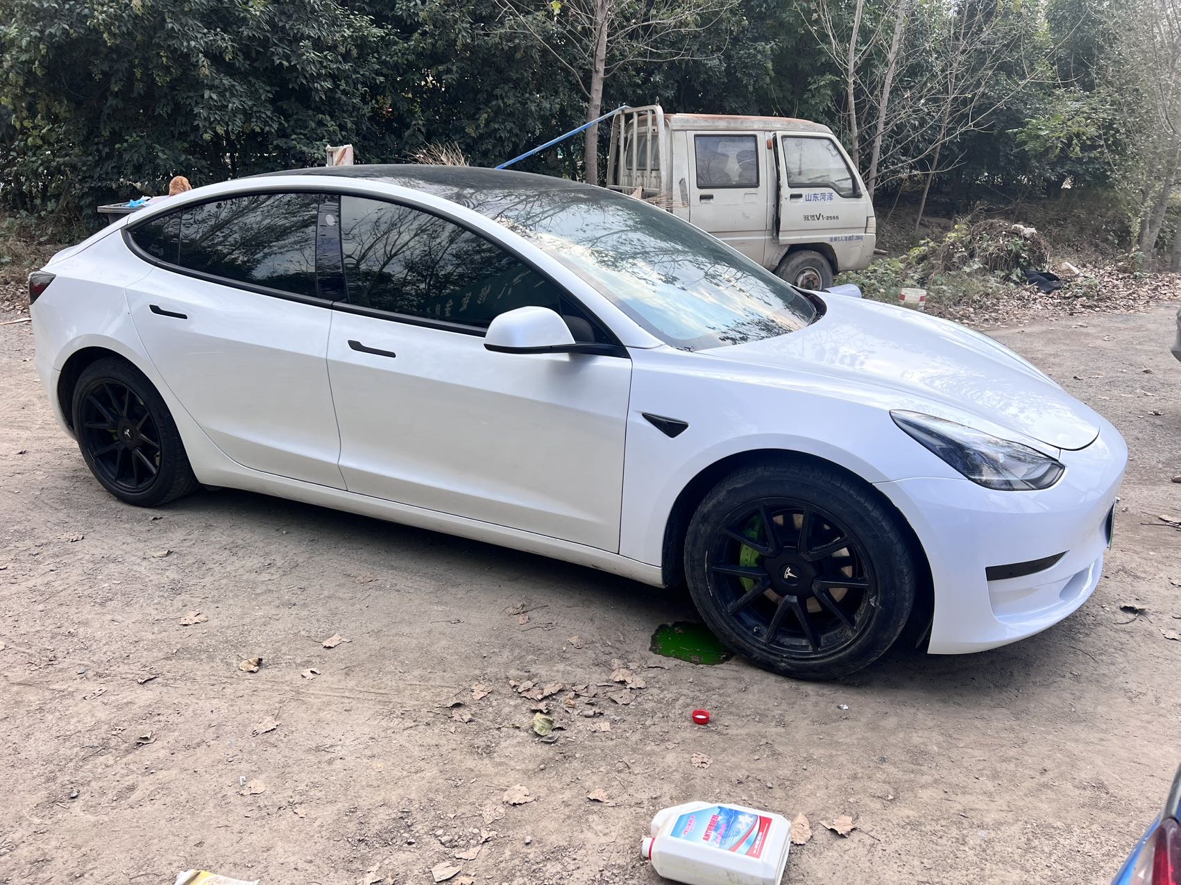 Tesla Model 3 2021 #3 Tesla Model 3 2021 car image #3