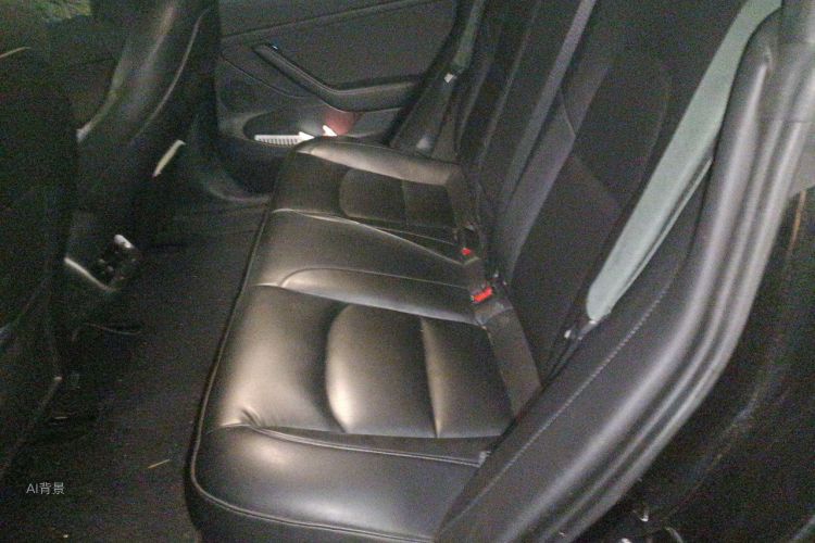 Tesla Model 3 2022 #19 Tesla Model 3 2022 car image #19
