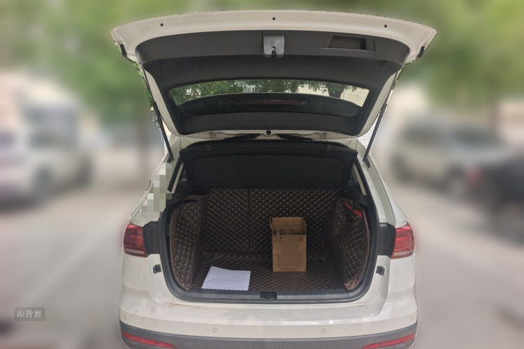 Volkswagen Tharu 2020 car image #21