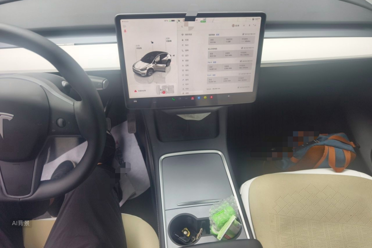 Tesla Model Y 2023 car image #15