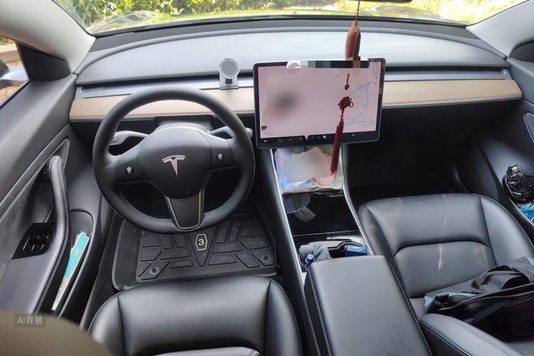 Tesla Model 3 2020 car image #11