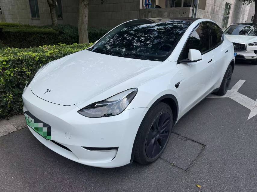Tesla Model Y 2024 car image 