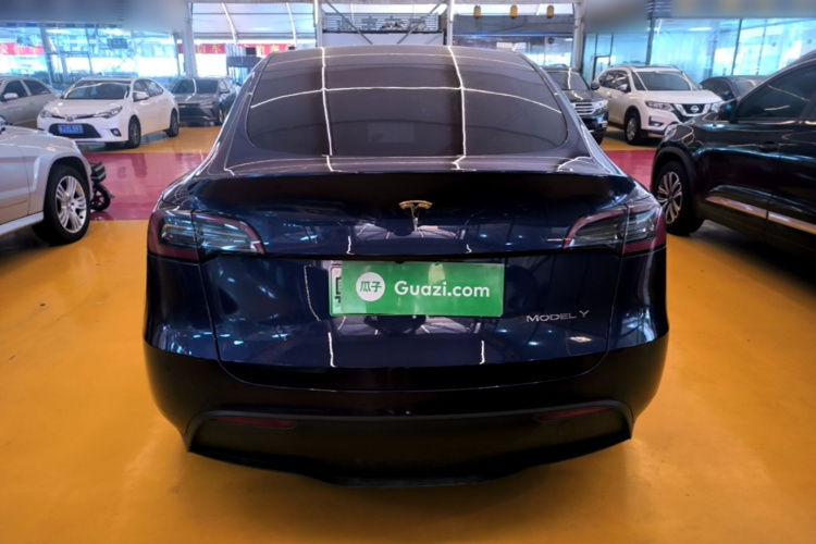 Tesla Model Y 2022 car image #6