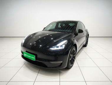 Tesla Model Y 2023 Tesla Model Y 2023 car image