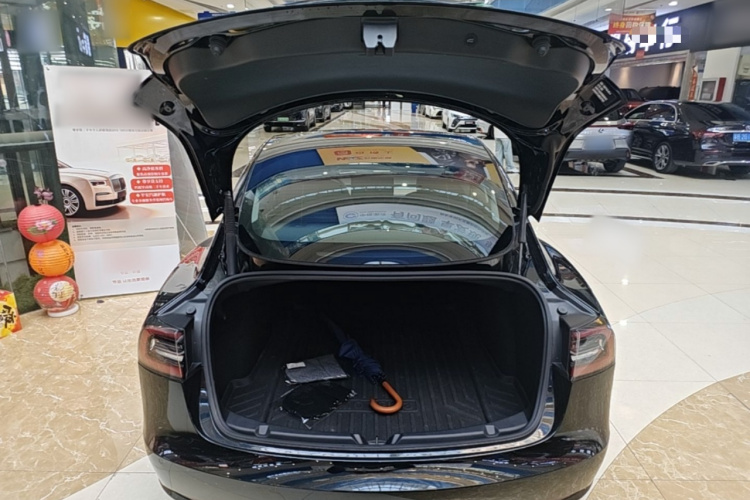 Tesla Model 3 2021 #19 Tesla Model 3 2021 car image #19