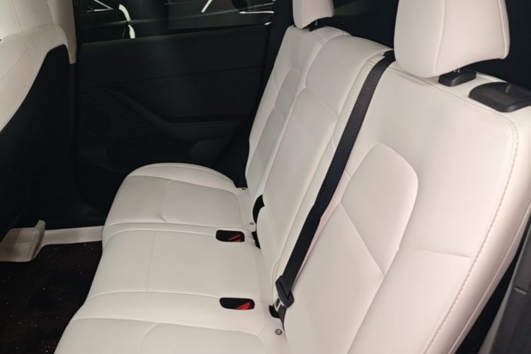 Tesla Model Y 2023 car image #17