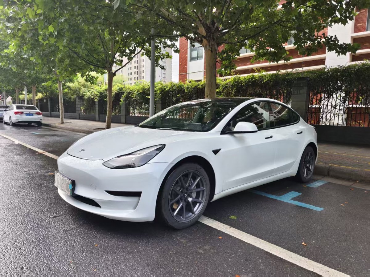 Tesla Model 3 2021 Tesla Model 3 2021 car image
