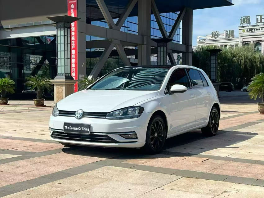Volkswagen Golf 2019 Volkswagen Golf 2019 car image