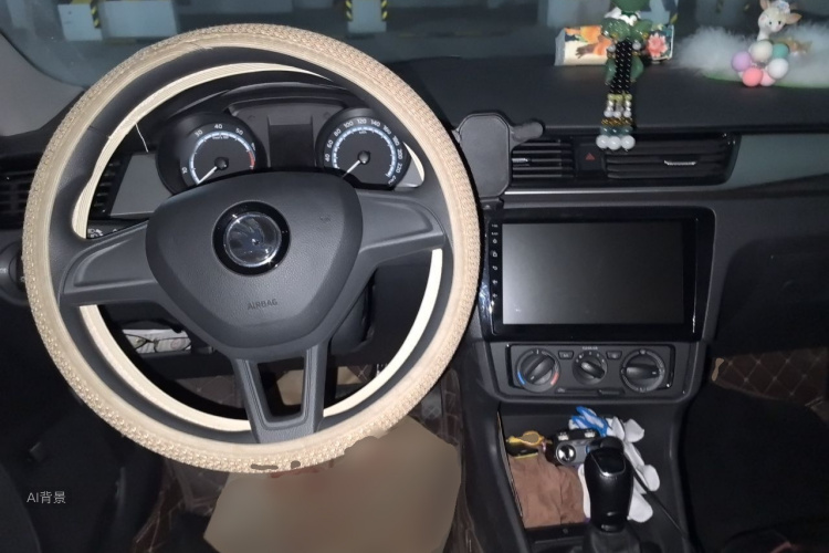 Skoda Rapid 2020 car image #12