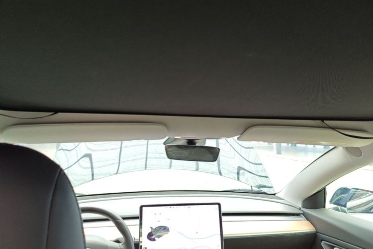 Tesla Model 3 2020 car image #20
