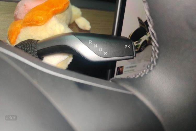 Tesla Model Y 2022 car image #16