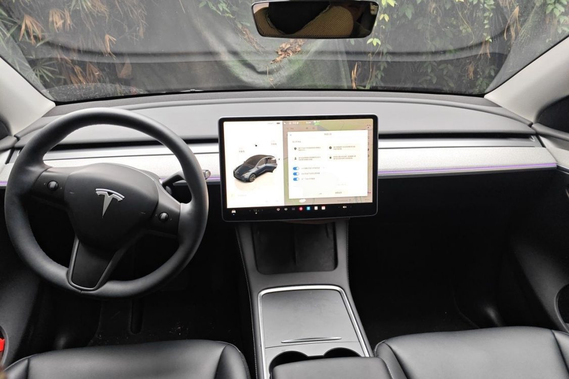 Tesla Model Y 2024 #21 Tesla Model Y 2024 imagen de coche #21