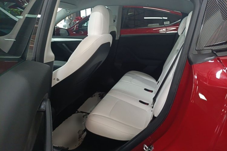 Tesla Model Y 2021 car image #17