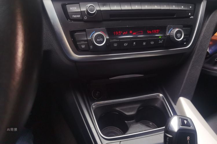 BMW 3 Series 2015 car image #10