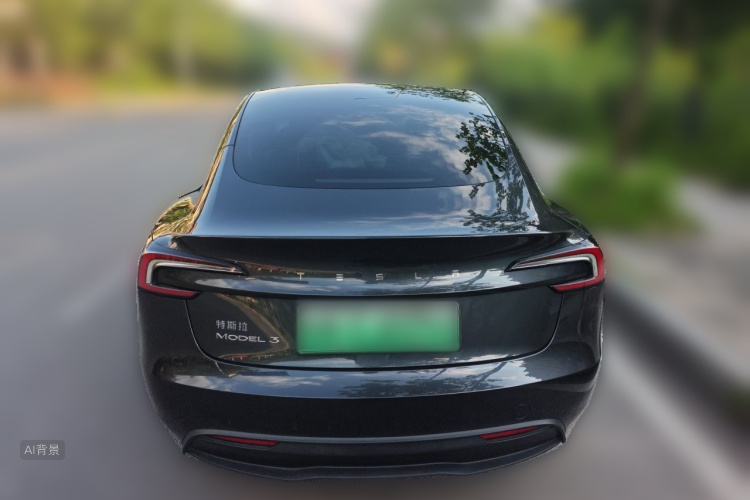 Tesla Model 3 2024 car image #6