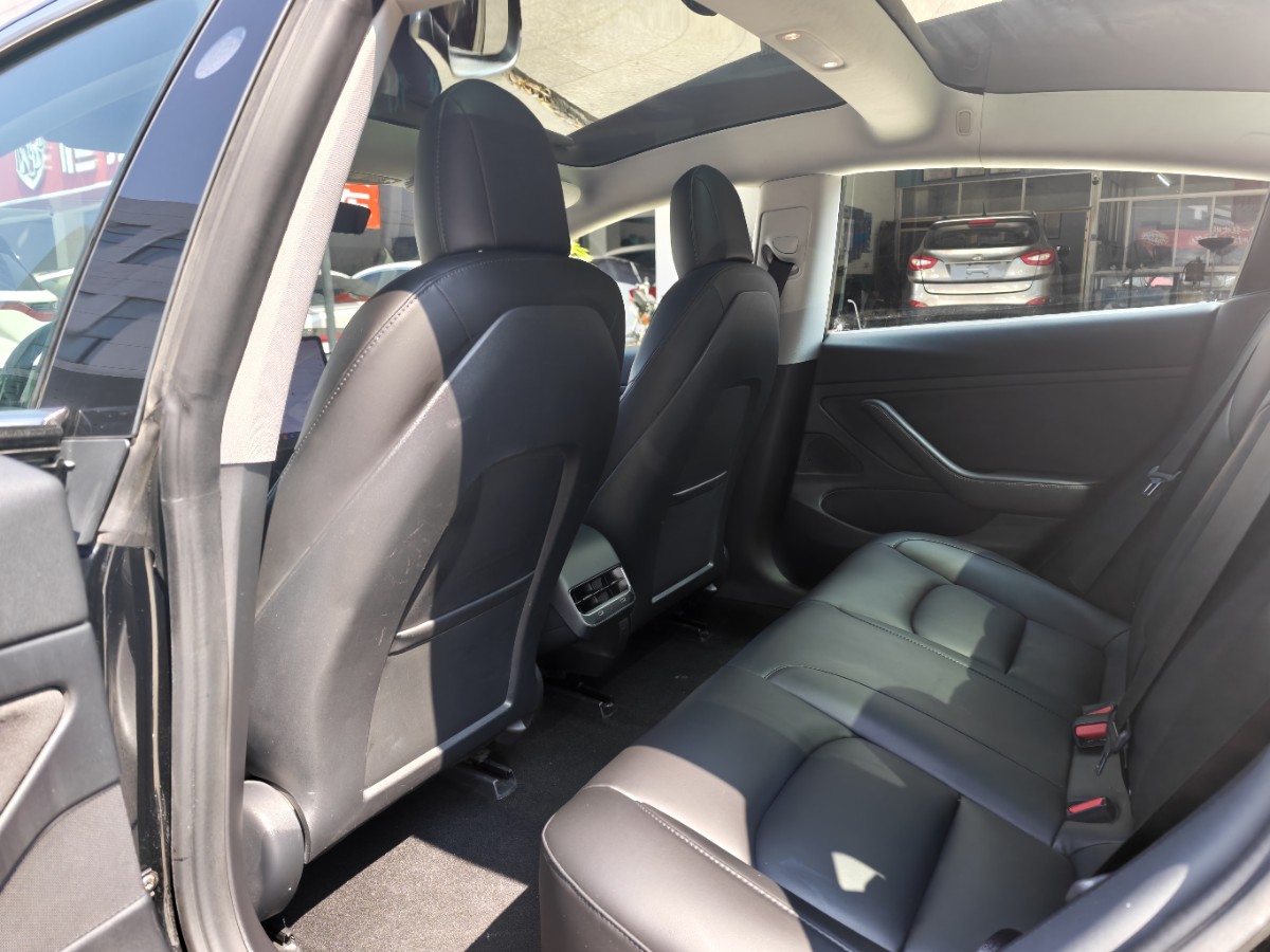 Tesla Model 3 2020 #5 Tesla Model 3 2020 car image #5