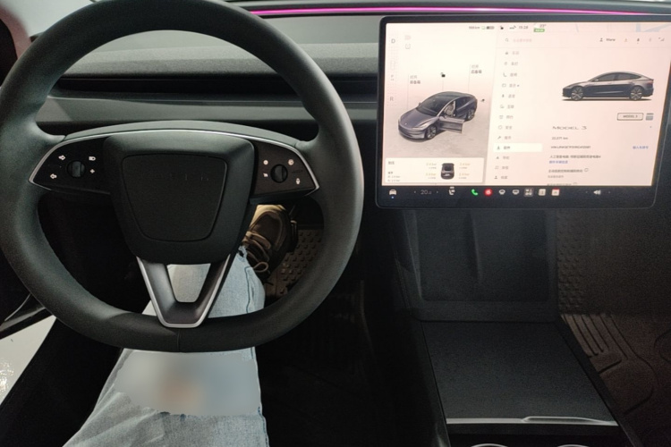 Tesla Model 3 2024 imagem de carro #10
