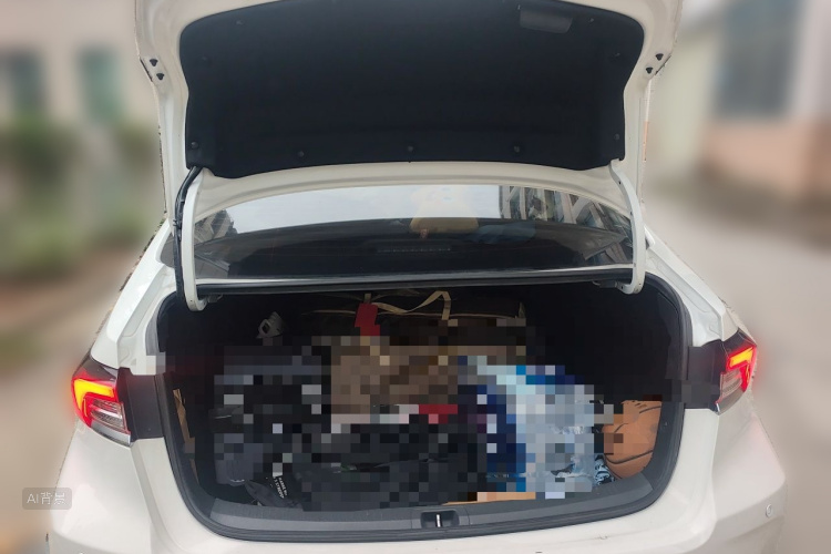 Toyota Corolla 2020 car image #21