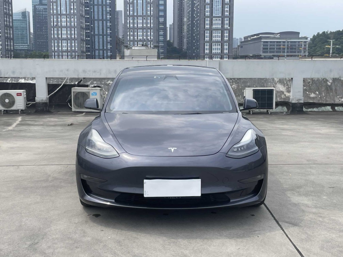 Tesla Model 3 2021 #3 Tesla Model 3 2021 car image #3