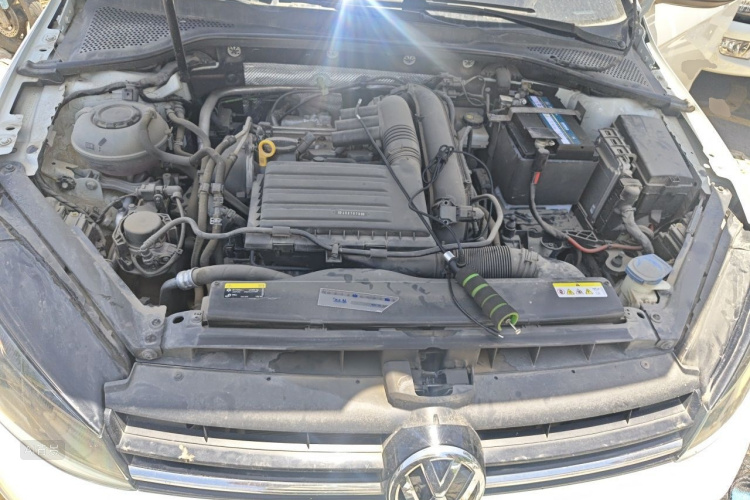 Volkswagen Golf 2021 #22 Volkswagen Golf 2021 car image #22