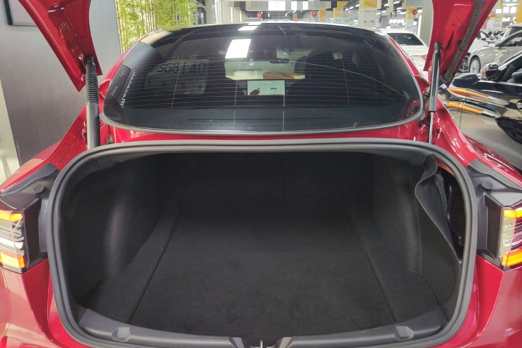 Tesla Model 3 2020 car image #21