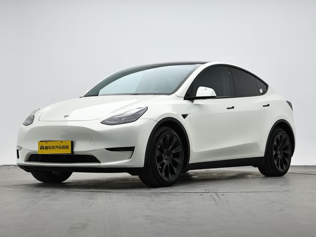 Tesla Model Y 2021 car image 