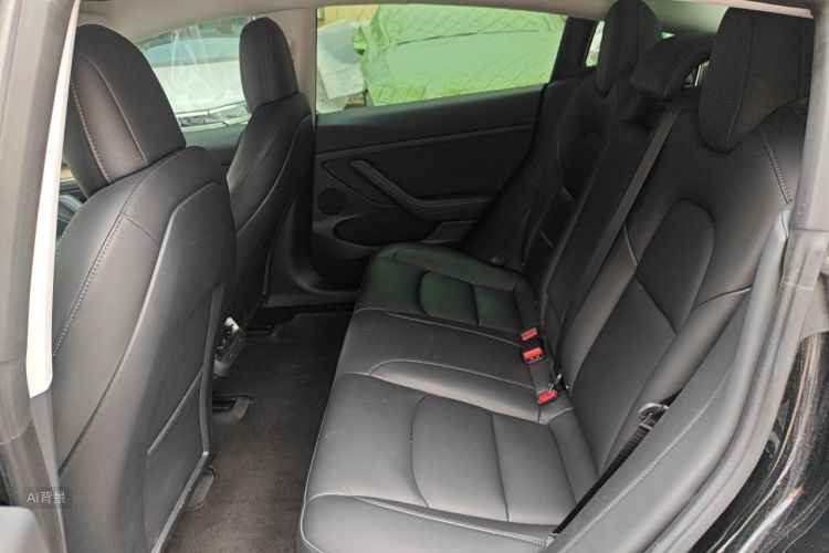 Tesla Model 3 2021 car image #19