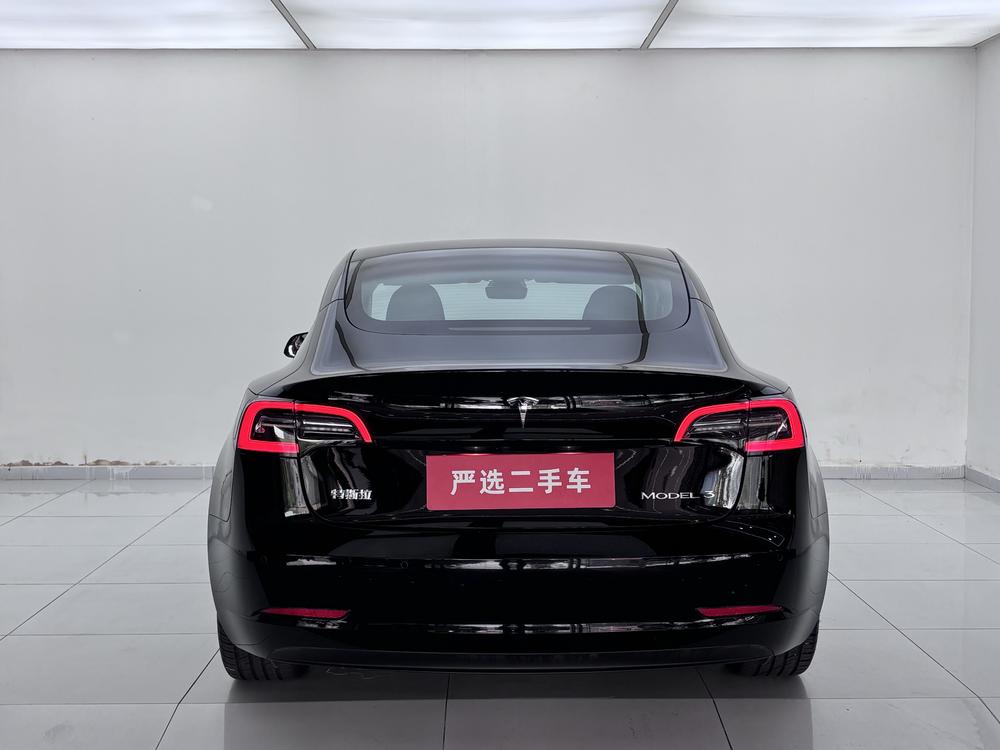 Tesla Model 3 2021 #5 Tesla Model 3 2021 car image #5